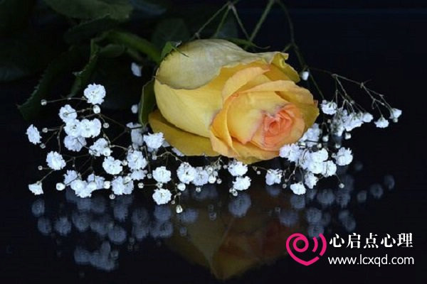 rose-1706446__340.jpg