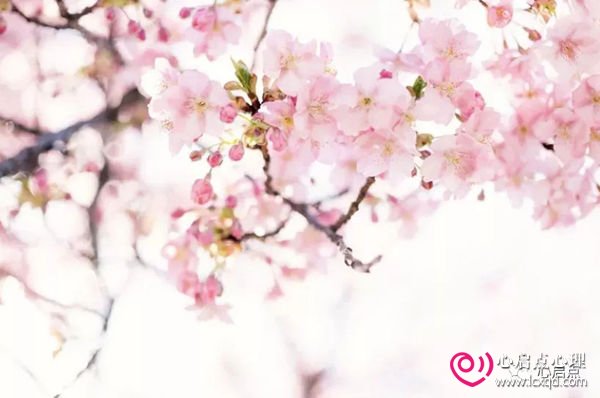ϵ֮޸վ