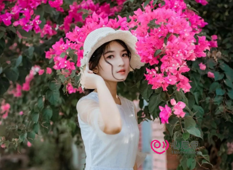 1681286720213036.png image.png