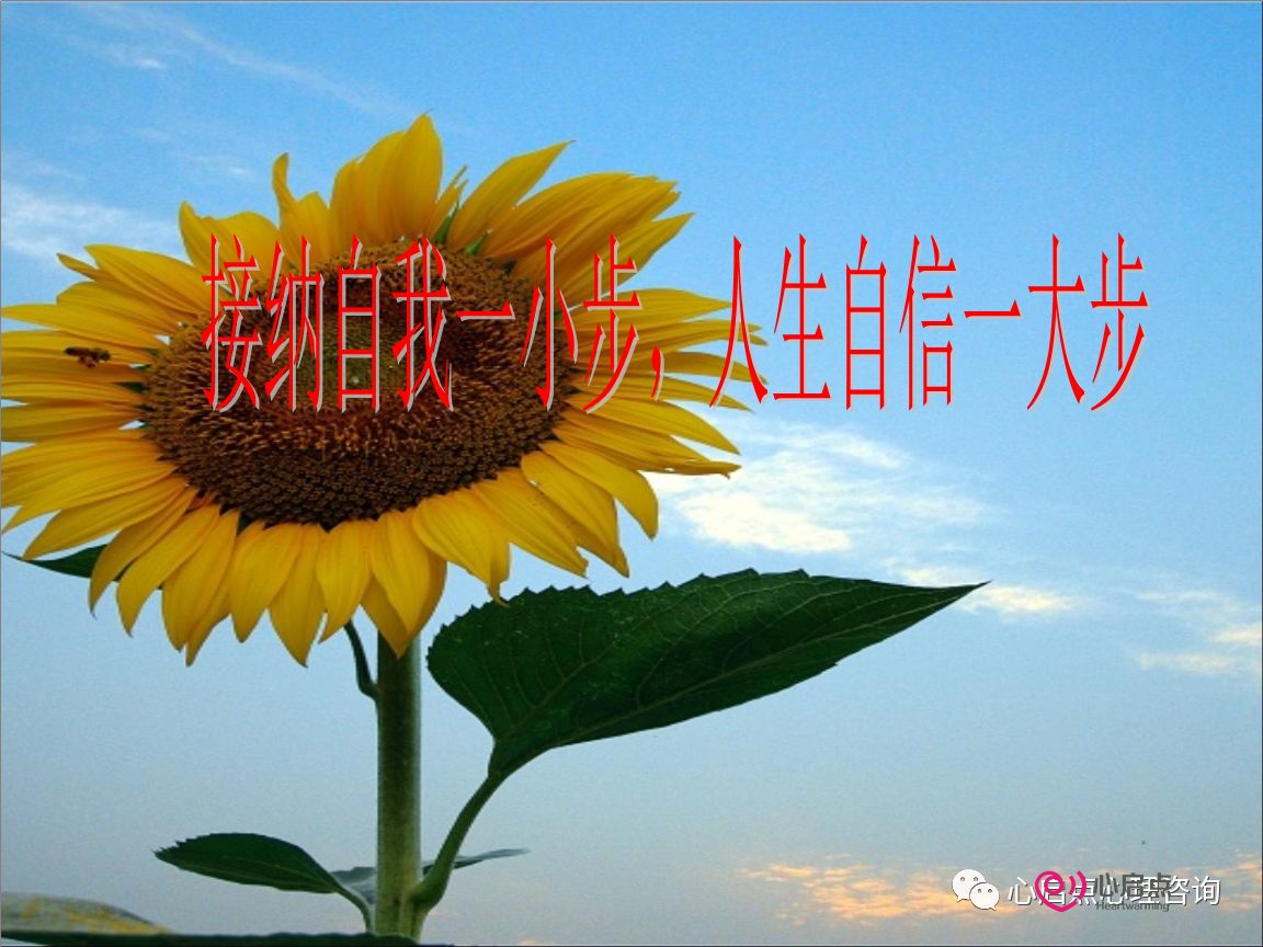 1691135100331592.png image.png